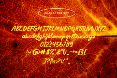 Mantis Love - The Natural Brush Font Product Image 5