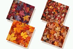 Maple Leaves Digital Paper Bundle Product Image 2