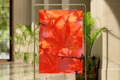 Maple Leaves Digital Paper Bundle Product Image 6