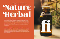 Marble Capital - New Bold Serif Display Product Image 3