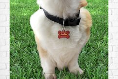 Marble pet tag sublimation design bundle Product Image 3
