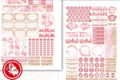 Rose Gold Lace & Marble: Printable Planner Stickers for ECLP Product Image 2