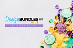 Flatlay Image of mardi gras coins, confettie, feather and beads