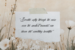 Marelyna Charleya | Beauty Callighraphy Script Product Image 5