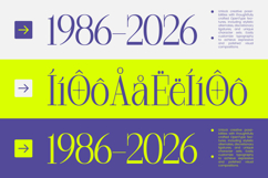 Margoise - Modern Display Serif Font Product Image 6