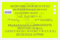 Margoise - Modern Display Serif Font Product Image 10