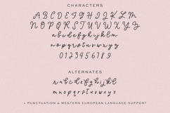 Marigold Manor Script Product Image 10