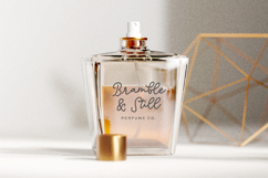 Marigold Manor Script Product Image 3