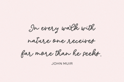 Marigold Manor Script Product Image 4