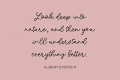 Marigold Manor Script Product Image 9