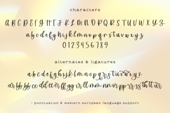 Marigold Market Script Product Image 10