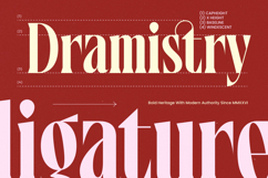 Maristores - Modern Serif Font Product Image 11