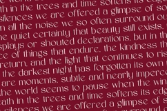 Marko - Elegant Thin Sans Serif Font Product Image 12