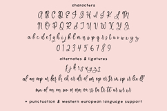 Marleau Script Product Image 10