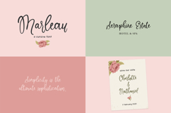 Whimsical Script Font Mini Bundle Product Image 4