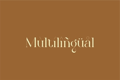 Marlita - Fight Serif Font Product Image 10