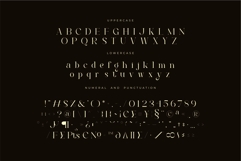 Marlita - Fight Serif Font Product Image 12