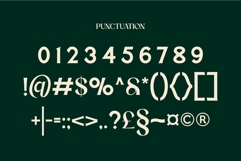 Marlyn Tomorrow Luxury Minimal Serif font Product Image 11