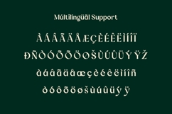 Marlyn Tomorrow Luxury Minimal Serif font Product Image 9