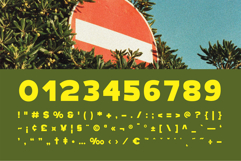 Marony || modern sans Product Image 5