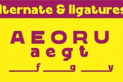 Marony || modern sans Product Image 6