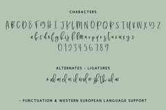 Marshland Script Product Image 10