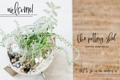 Marshland Script Product Image 2