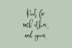 Marshland Script Product Image 3