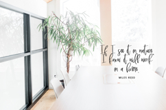 Marshland Script Product Image 5