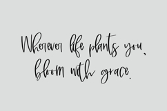 Marshland Script Product Image 6