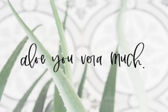 Marshland Script Product Image 7