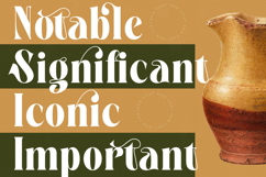 Martego - Modern Bold Serif Font Product Image 3