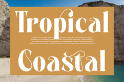 Martego - Modern Bold Serif Font Product Image 11