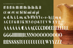 Martego - Modern Bold Serif Font Product Image 18