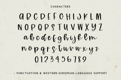 Marzipan Script Product Image 10