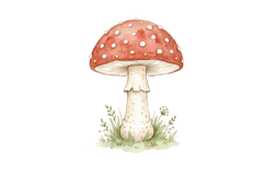 Mushroom Png Design |Forest Png Product Image 1