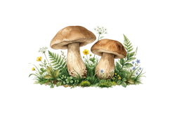 Mushrooms Png Design |Forest Png Product Image 1