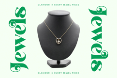 Master Gedon - Modern Bold Serif Font Product Image 5