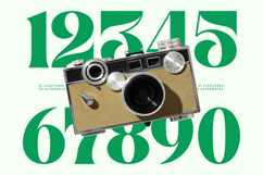 Master Gedon - Modern Bold Serif Font Product Image 12