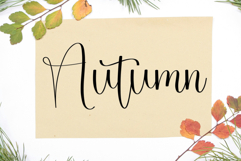 Masterday Product Image 3