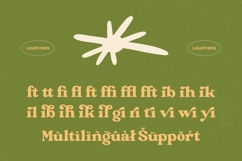 Matcha Holiks - Groovy Serif Display Product Image 17