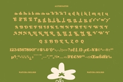 Matcha Holiks - Groovy Serif Display Product Image 19