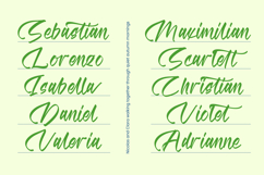 Matchengis - Brush Handwritten Font Product Image 17