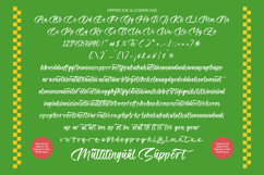 Matchengis - Brush Handwritten Font Product Image 18