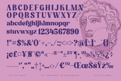 Mathreal - Modern Alternate Serif Font Product Image 18