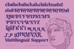 Mathreal - Modern Alternate Serif Font Product Image 19