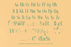 Mattery Gravity - Modern Alternate Serif Font Product Image 13