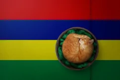 Backgrounds for Photography & Marketing. Mauritius Product Image 8