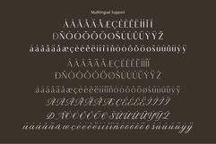 Macline Luxury clean elegant pairings logo fonts Product Image 10