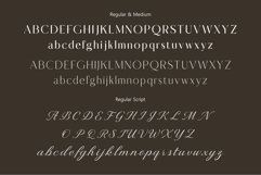 Macline Luxury clean elegant pairings logo fonts Product Image 9